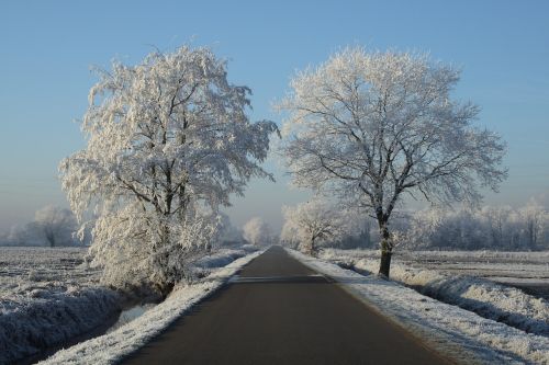 Žiema, Sniegas, Užšaldymas, Žiemos Peizažas, Užšaldyti, Sniego Kraštovaizdis