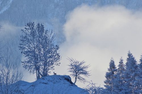 Žiema, Sniegas, Haderlehn, Sautens, Oetztalas, Tyrol, Austria