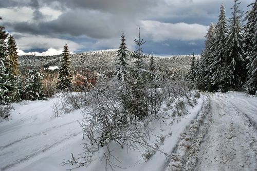 Žiema, Kelias, Miškas, Kalnai, Turbacz, Kraštovaizdis, Sniegas