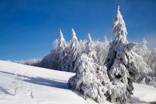 Žiema, Sniegas, Žiemą, Hochrhoen, Wasserkuppe, Rhön Žiema, Snieguotas