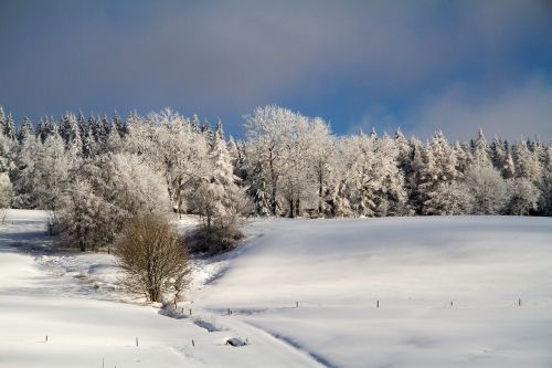 Žiema, Sniegas, Žiemą, Hochrhoen, Wasserkuppe, Rhön Žiema, Snieguotas