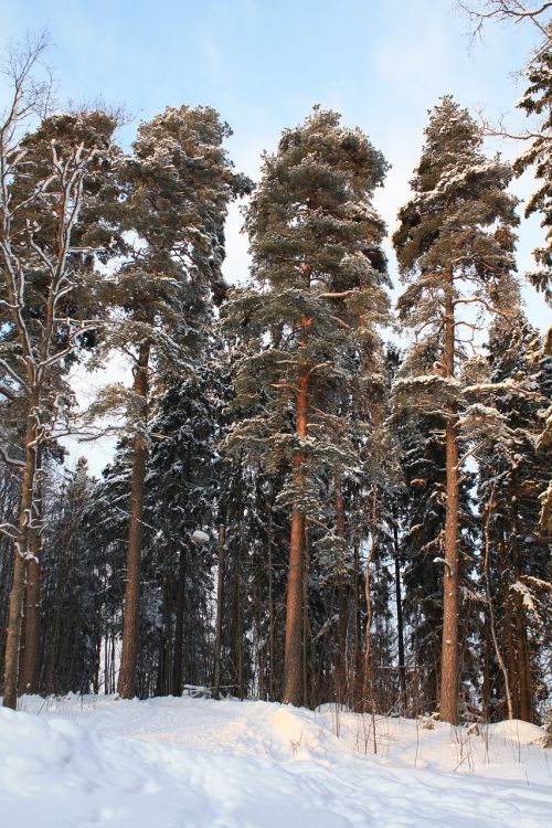 Žiema, Finland, Sniegas, Ledas