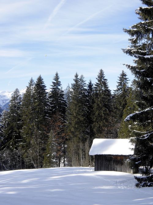 Žiema, Sniegas, Miškas, Namelis, Gamta, Alpių, Riezlern, Austria