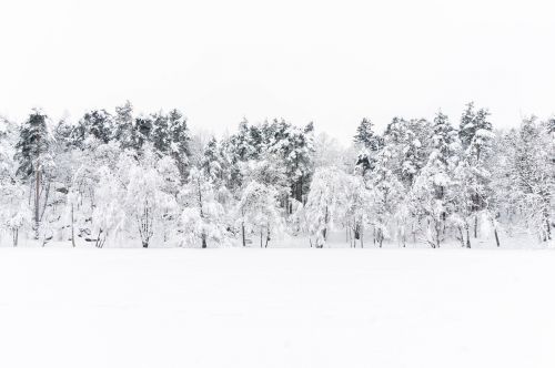 Žiema, Sniegas, Šiaurė, Balta, Gamta, Aplinkosauga