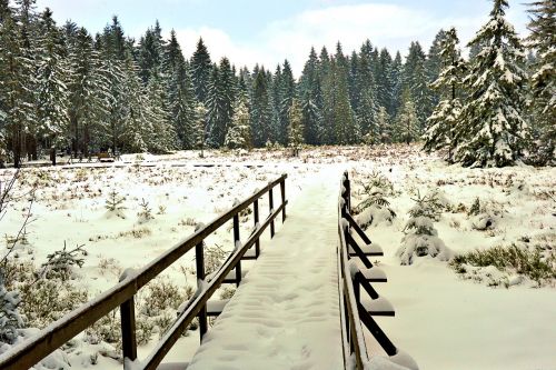 Žiema, Tiltas, Turėklai, Snieguotas, Sniegas, Medžiai, Miškas, Oberhof, Turingijos Federalinė Žemė, Žygiai, Vaizdas, Toli, Kraštovaizdis, Žiemą, Romantika, Poilsis, Internetas, Gamta, Šaltas, Ledinis, Nuotaika, Perėjimas, Atmosfera, Mediena