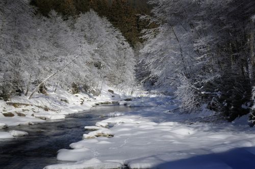 Žiema, Prinokę, Kraštovaizdis, Žiemą, Šaltas