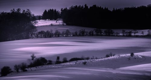 Žiema, Sniegas, Žiemą