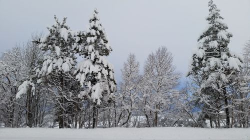 Žiema, Žiemos Peizažai, Kraštovaizdžio Nuotrauka, Skandinavija, Nordic, Norvegija, Šaltyje, Sniegas, Žiemos Scenos, Šaltas, Sniego Scena