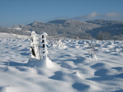 Žiema, Sniegas, Šaltas, Žiemą