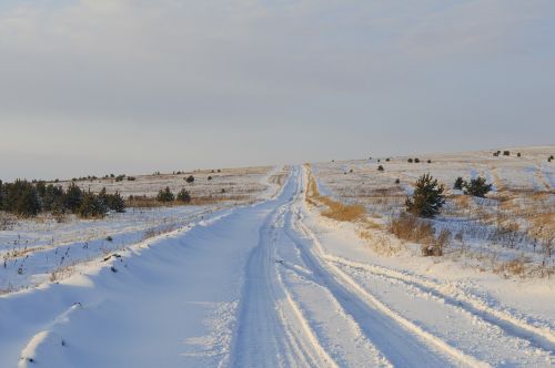 Žiema, Gamta, Miškas, Medžiai, Sniegas, Šaltis, Kelias