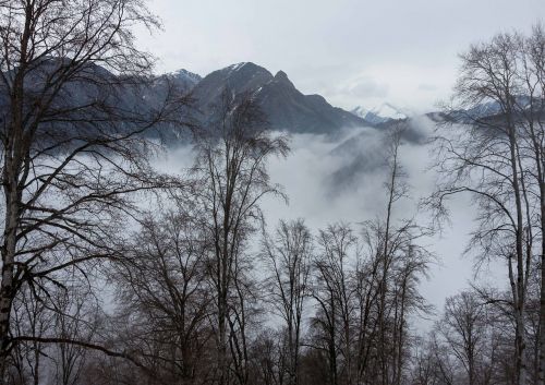 Žiema, Azerbaidžanas, Miškas, Rūkas, Kraštovaizdis, Debesys, Šaltai, Sniegas, Kalnai, Sezonas