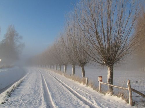 Žiema, Sniegas, Gluosnis, Kelias, Sniego Kraštovaizdis