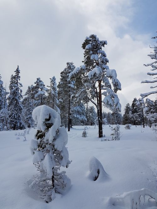 Žiema, Kraštovaizdis, Žiemos Peizažai, Norvegija, Skandinavija, Sniegas, Gamta