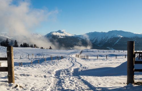 Žiema, Sniegas, Tuxer Alps, Malonės Miškas