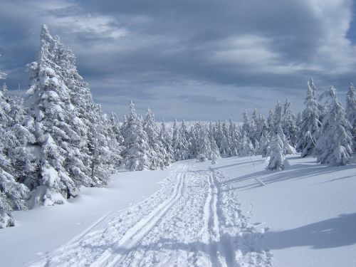 Žiema, Kelias, Sniegas