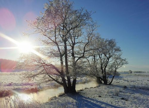 Žiema, Ratlankis, Natūralus, Ansager, Kraštovaizdis, Mediena, Šaltis, Sol, Å