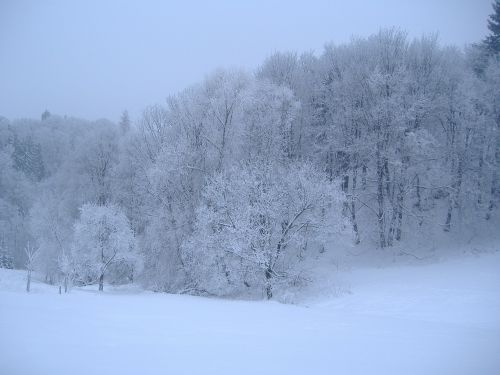 Žiema, Sniegas, Balta