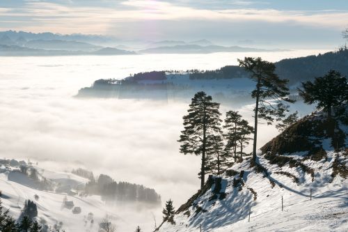 Žiema, Kraštovaizdis, Kalnai, Šveicarija, Tösstal, Jūros Rūkas, Alpių, Sniegas, Medžiai, Regėjimas