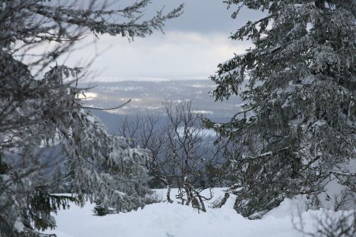 Žiema, Kalnas, Sniegas