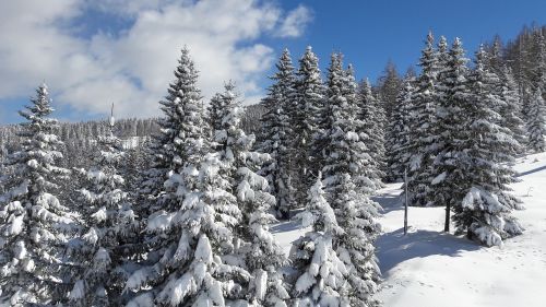 Žiema, Sniegas, Žiemą