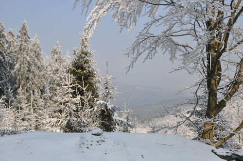 Žiema, Sniegas, Kalnai, Medis, Kraštovaizdis, Vaizdas, Čekijos Respublika