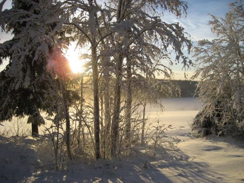 Žiema, Saulės Energija, Gamta