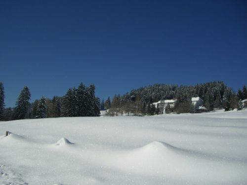 Žiema, Balta, Mėlynas, Sniegas, Dangus, Eglės, Sveikatos Klinika, Mittelberg, Allgäu