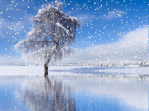 Žiema, Sniegas, Sniegas, Žiemą, Šaltas, Kalėdos, Sniego Kraštovaizdis, Eiskristalio