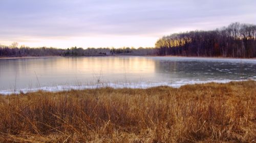 Žiema, Saulėlydis, Kraštovaizdis, Miškas, Parkas, Saulės Šviesa, Sausis, Vaizdingas, Michiganas