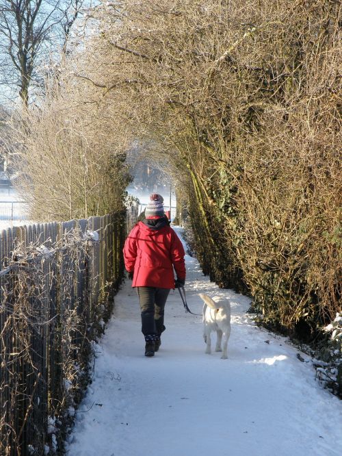 Žiema, Sniegas, Kelias, Šuo Vaikščioti