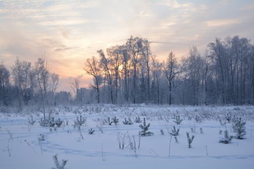 Žiema, Gamta, Kraštovaizdis, Rusija, Sniegas, Saulėlydis, Medžiai