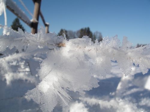 Žiema, Vaikai, Žaisti, Sniegas