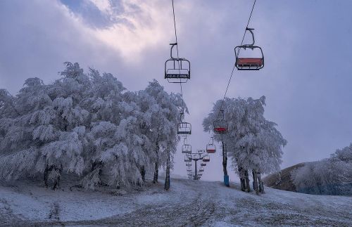 Žiema, Sniegas, Šaltas, Šaltis, Sušaldyta, Gamta, Medžiai