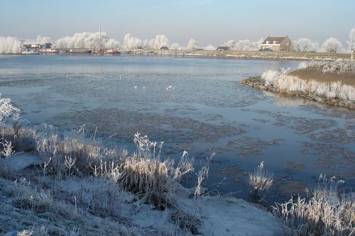 Žiema, Gamta, Sniegas, Sušaldyta, Ledas, Žiemos Peizažas, Prinokę, Upė, Ijssel