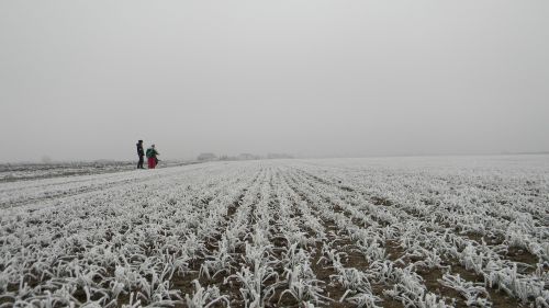 Žiema, Mraz, Apledėjimas, Slovakija