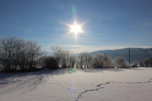 Žiema, Sniegas, Sušaldyta, Šaltis