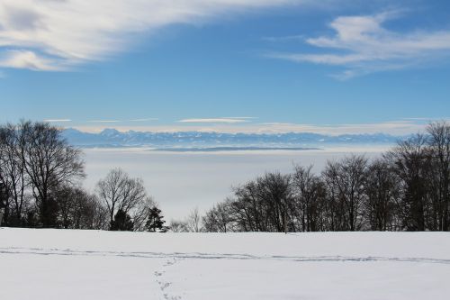 Žiema, Sniegas, Kraštovaizdis