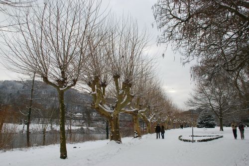 Žiema, Medžiai, Saarbrücken, Snieguotas, Žiemą, Salos Upė, Sala, Sniegas, Šaltas