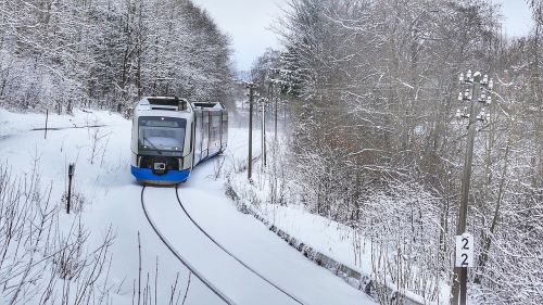 Žiema,  Sniegas,  Šaltas,  Šaltis,  Be Honoraro Mokesčio