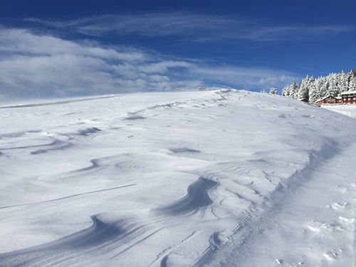 Žiema,  Sniegas,  Panoraminis,  Kraštovaizdis,  Be Honoraro Mokesčio