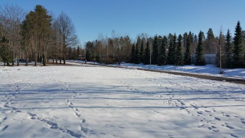 Žiema,  Sniegas,  Gamta,  Šaltas,  Šaltis,  Gatvė,  Medžiai,  Finland,  Be Honoraro Mokesčio