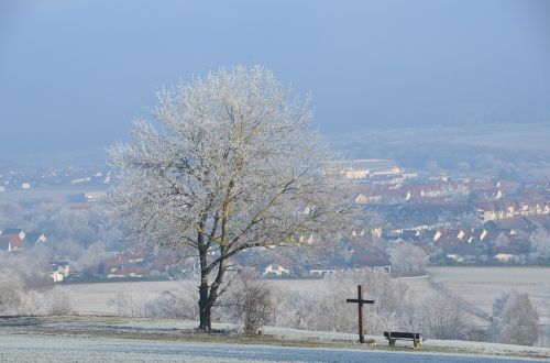 Žiema,  Sniegas,  Medis,  Šaltis,  Be Honoraro Mokesčio