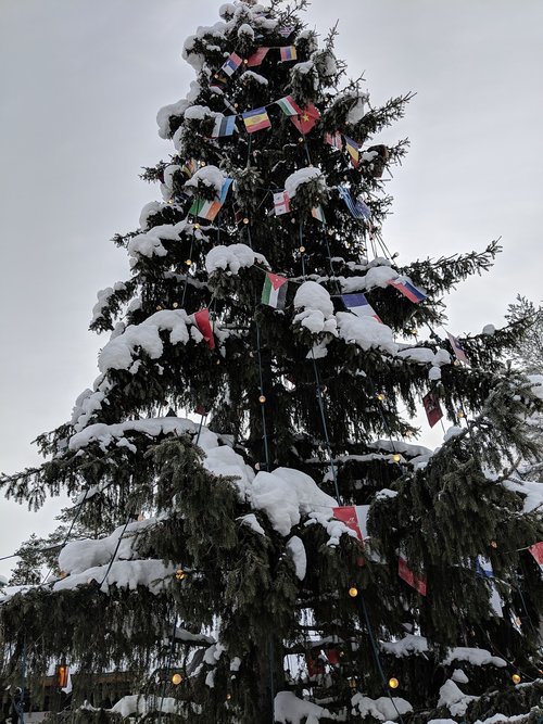 Žiemos,  Sniegas,  Medis,  Kalėdų,  Kalėdų Senelis Kaimas,  Arctic,  Eglės,  Laplandija,  Suomija
