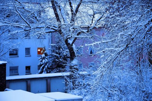 Žiema, Sniegas, Medžiai, Namai, Garažai, Ruhr Area, Galinis Kiemas
