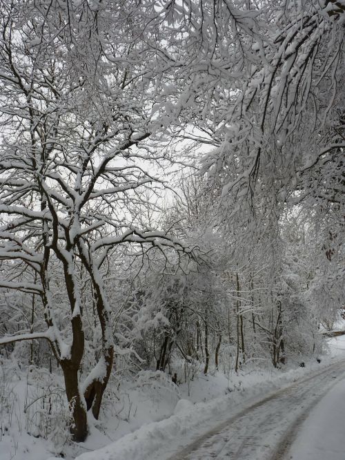 Žiema, Kraštovaizdis, Sniegas