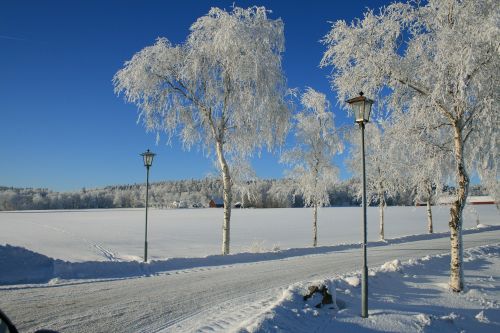 Žiema, Sniegas, Saulės Energija, Balta, Šaltas, Švedija, Snieguotas, Peizažai, Gamta