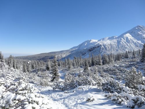 Žiema, Kalnai, Lenkija, Gamta, Vaizdas, Tatry, Podhale, Aukštas Tatras, Sniegas