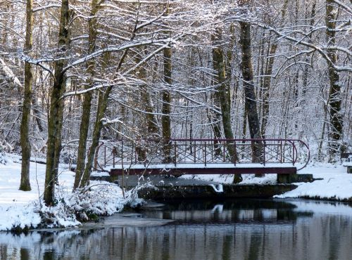 Žiema, Sniegas, Medžiai, Tvenkinys, Tiltas, Snieguotas, Balta, Gamta, Parkas, Šaltas, Hosingen, Liuksemburgas