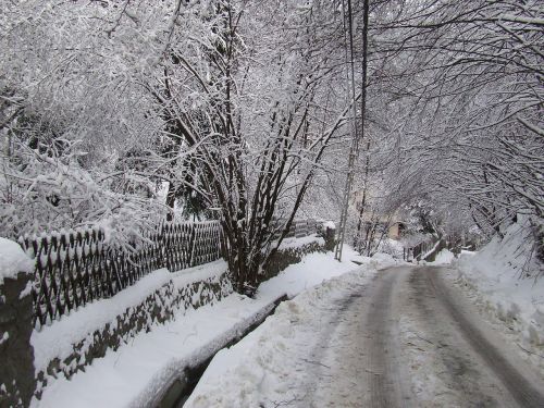 Žiema, Gamta, Umassa, Sausis, Sniegas, Snieguotas Kelias