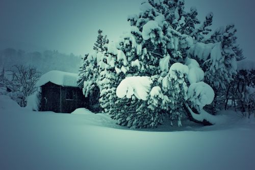 Žiema, Sniegas, Šveicarija